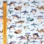 Algodón Baby Shark TelasyManteles.es
