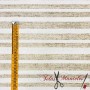 TELA ESTAMPADA CON RAYAS - TIENDA ONLINE TELAS Y MANTELES