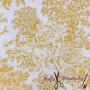 TELA LONETA TOILE DE JOUY CARTUJA - TIENDA ONLINE TELAS Y MANTELES